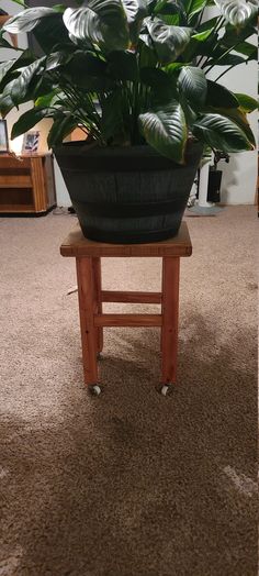 a large potted plant sitting on top of a wooden stool