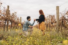 Viñedo, otoño, novios, propuesta de matrimonio.