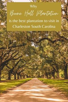 a dirt road surrounded by trees with the words why bone hill plantation is the best plantation to visit in charleston south carolina