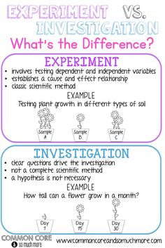 the differences between investment and investments in an investment statement, which one is worth to invest?