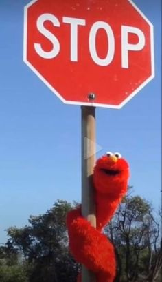 a stop sign with the sesame street character hanging from it