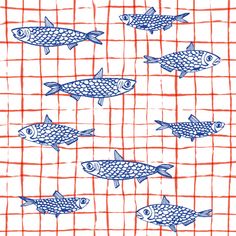 blue and red fish on a white background with orange grated lines in the center