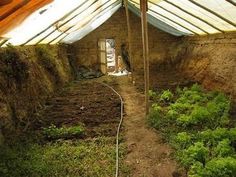 the inside of a building with dirt and plants growing on the ground next to it