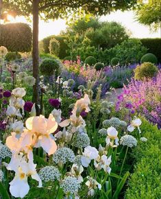 a garden filled with lots of white and purple flowers