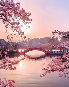 the sun is setting behind cherry blossom trees and a small bridge over a river with people walking on it