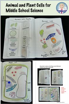 an animal and plant cells for middle school science book with pictures of the cell structure