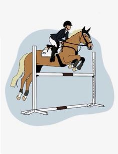 a person on a horse jumping over an obstacle in front of a white background,