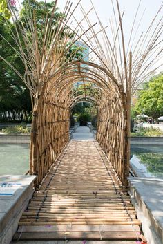 a bamboo bridge with water and trees in the background