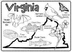 a black and white map of the state of virginia with birds, fish, flowers, and butterflies