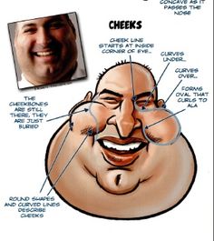 a caricature of a smiling man's face with words describing the parts of his nose