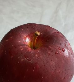 an apple with water drops on it sitting on a white tableclothed surface, ready to be eaten