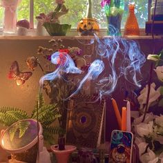 a room filled with lots of different types of plants and decorations on top of a table