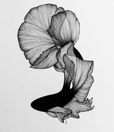 a black and white drawing of a flower