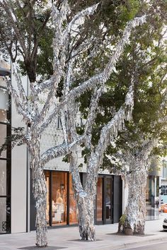 the trees are covered in ice and icing on the sidewalk near storesfronts