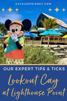 mickey mouse standing in the grass with text overlay reading our expert tips and tricks look out cay at lighthouse point