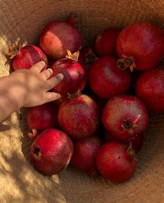 a hand reaching for some red apples in a brown bowl on the ground with sand