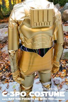 a star wars costume is shown in front of some rocks and leaves with the caption c - 3po costume