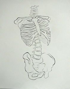 a black and white drawing of a human skeleton