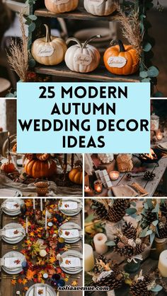 25 modern autumn wedding decor ideas with pumpkins, pine cones and other fall decorations