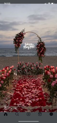 an image of a wedding setup with roses on the ground and flowers in the aisle