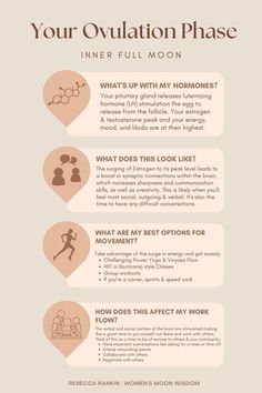 Ovulating Phase, Menstrual Cycle Phases Symptoms, Ovulatory Phase, Ovulation Phase Foods, Menstrual Cycle Phases Nursing, Ovulation Phase, Different Phases Of Menstrual Cycle, Phases Of Your Menstrual Cycle, Menstrual Cycle Phases Explained