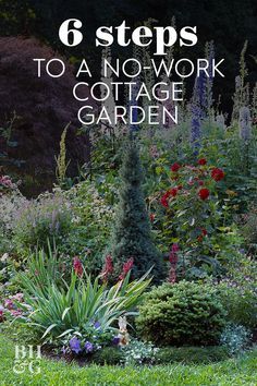 a garden with lots of flowers and plants around it, the title says 6 steps to a no - work cottage garden