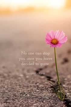 a pink flower sitting in the middle of a road with a quote on it that says, no one can stop you once you have decided to grow