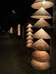 a bunch of lights hanging from the side of a tree