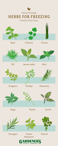 the different types of herbs are shown in this poster