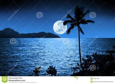 a full moon over the ocean with palm trees and mountains in the background at night