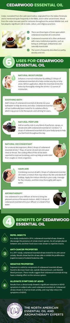 uses for cedarwood essential oil and cedar essential oil benefits Cedarwood Essential Oil Uses, Orange Essential Oil Benefits, Health Coconut Oil, Marjoram Essential Oil, Juniper Berry Essential Oil, Cypress Essential Oil, Spearmint Essential Oil, Essential Oils Herbs, Essential Oils Health