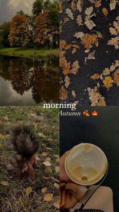 a person holding a coffee cup in front of a lake and leaves on the ground