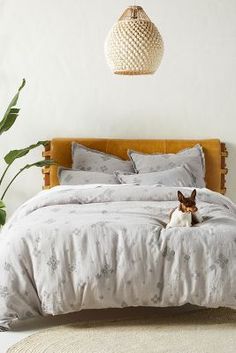 a dog laying on top of a bed next to a plant in a white room