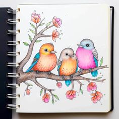 a drawing of three birds sitting on a tree branch