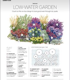 an illustrated garden guide with flowers and plants in it, including the names of each plant