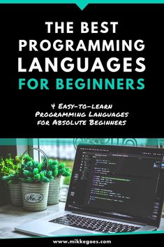 the best programming languages for beginners