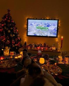 a cat laying in front of a christmas tree watching the grinch on tv screen