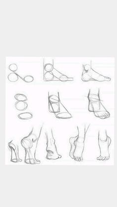 various types of feet and ankles drawn in pencil