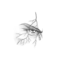 a drawing of an eye with tears and leaves on the iris's side