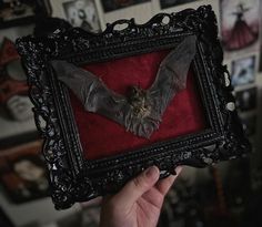 there is a bat that is hanging in the frame