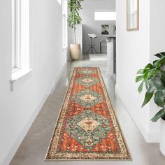 a long hallway with a rug on the floor and potted plant next to it