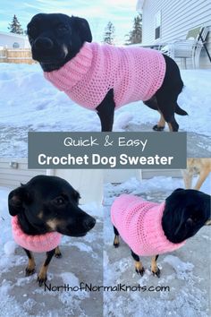 a black dog wearing a pink sweater in the snow with text overlay that says quick and easy crochet dog sweater