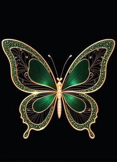 a green butterfly on a black background