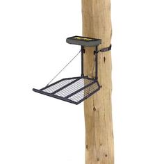 a bird feeder attached to a wooden post