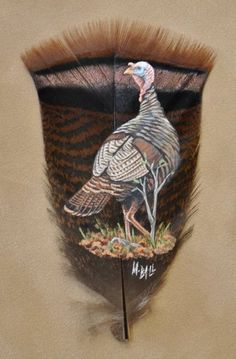 a drawing of a turkey with feathers on it