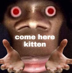 a poster with the words come here kitten on it's face and two hands in front of him