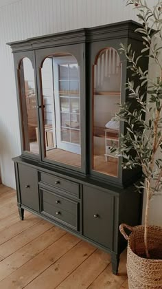 an olive tree in a basket next to a green china cabinet with glass doors and drawers