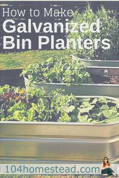 an image of how to make galvaniished bin planters in the garden with text overlay reading how to make galvaniished bin plants