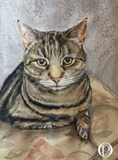 Watercolour portrait painting of a tabby cat by Sally Hewlett-Taylor Magnolia Colors, Cat Portrait Painting, Watercolor Pet Portraits, Cat Whiskers, Watercolor Cat, Black Labrador, Black Lab, Cat Portraits, Cat Painting