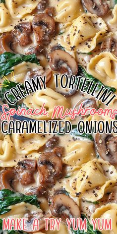 creamy tortellini with spinach mushrooms and caramelized onions make a yummy meal